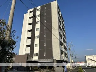 VARI KIKUYOUの画像