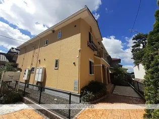 ヴィオーラの画像