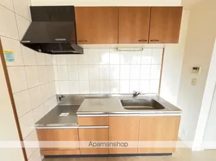 グランシャリオⅡ【203号室】のキッチン