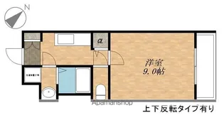 セジール一本木【203号室】の間取り