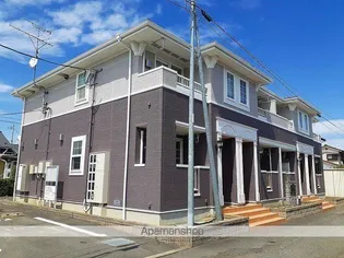 ハニーグレイスの画像