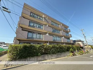 辻ハイム【2階】の外観