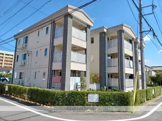 セレーノの画像