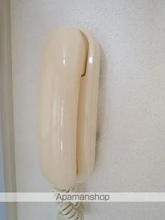 スワンハイツ【2階】のその他画像