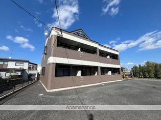 アイリスの画像