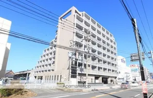 サルヴァトーレ今宿の画像
