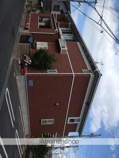 サン オークの画像