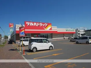 ルーベデンス77B【205号室】の周辺