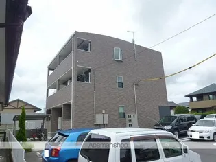 プラシードの画像