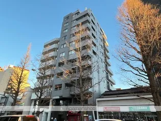 オリンピアトーホーの画像