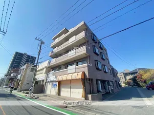 ルネカネコの画像