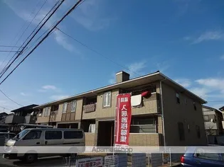 プラシードの画像