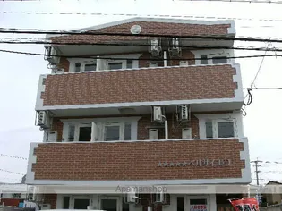 ベルサイユDの画像