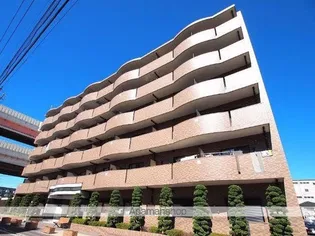 プラシードの画像