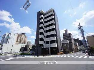 プレイズシード葵の画像