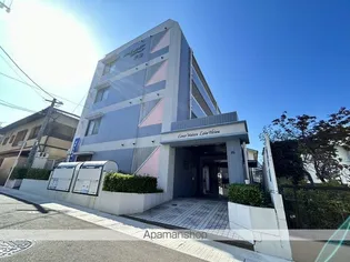 ルエ メゾンロワール平和の画像