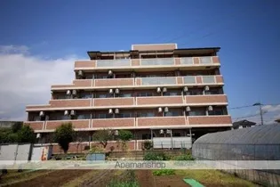 ピュアⅤの画像