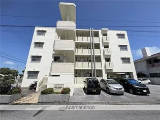 チェリー ブロッサムの画像