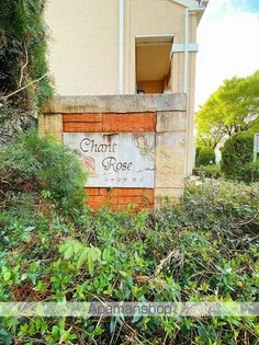 シャンテ ロゼの画像