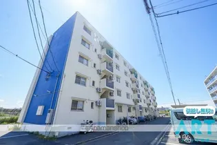 アルト堀江 4号棟【208.号室】の外観