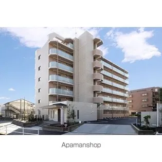エリシア イリスの画像
