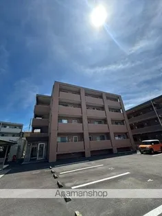 シャテロ巴の画像