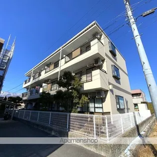 リンピアパストラーレの画像