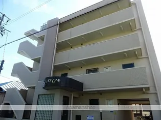 グレース オノの画像