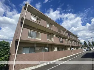 ディアコートマホニアの画像