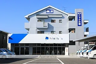 ニック小坂の画像