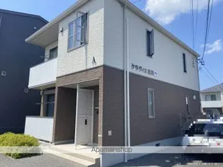 クラヴィエ並柳の画像