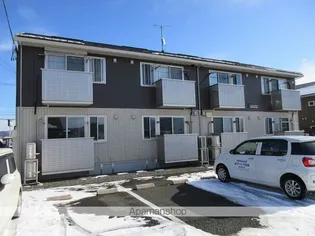 カレンデュラの画像