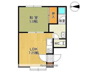 シティコーポ114A【203号室】の間取り