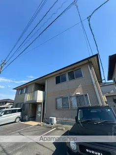 ルピナスの画像