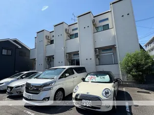 PLEASURE SAKAIの画像