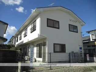 シンシアの画像