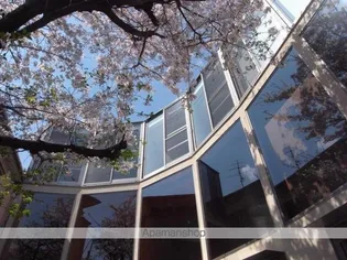 サクラノキテラス中目黒の画像