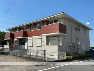 ハイツリー バイオレットの画像