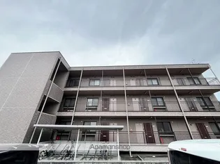 ZERO AOYAMAの画像