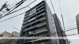 ディセントラフルーリの画像