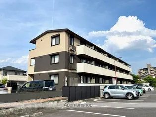 STELLAの画像
