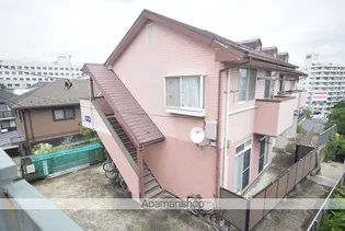 ロイヤルパインBの画像