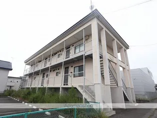 チェリーブロッサム日の出の画像