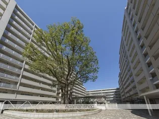 シティコート目黒3号棟【5階】の外観