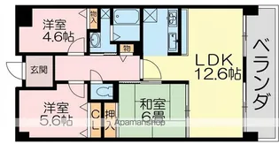 シティオ大津・石山【515号室】の間取り