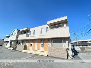 ステラ黒砂の画像