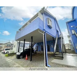 リコリスAの画像