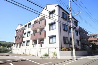 シルクトゥリーAの画像