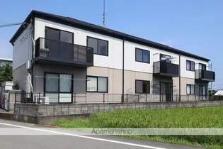 TOTOROの画像