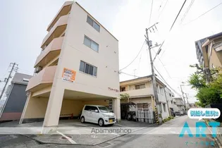 プリムローズ酒井の画像